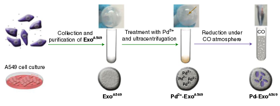 Cancer-derived exosomes loaded with ultrathin Palladium nanosheets for targeted bioorthogonal catalysis.