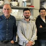 Heraldo de Aragón. Investigadores aragoneses desarrollan un método que revolucionará la producción de nanomateriales 2D